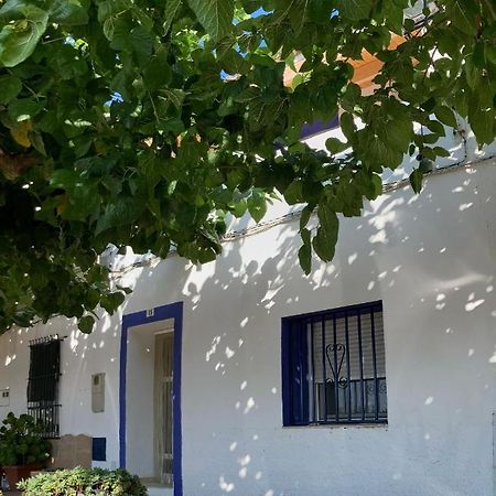 Villa Casa De L'Hort - Els Valentins Exterior foto